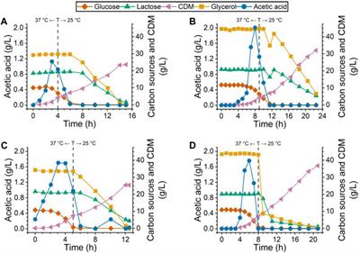 Influence of the mRNA initial region on protein production: a case study using recombinant detoxified pneumolysin as a model